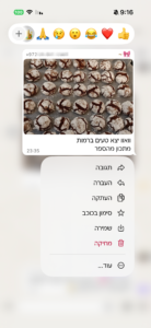 המלצה 4 על הספר חג שמח לכולם